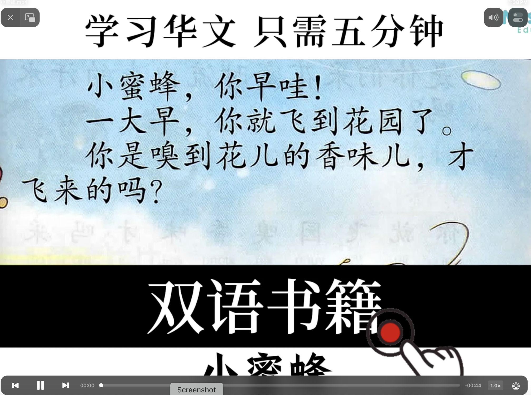 小蜜蜂